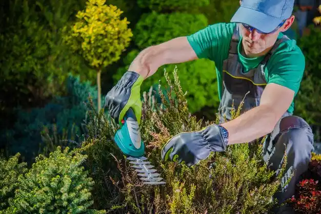 landscaping services Munfordville